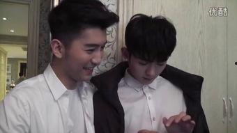 GAY国产,探索一个多元文化的乌托邦